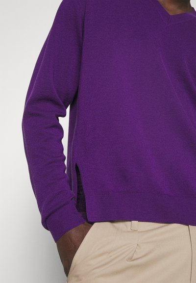 WOOYOUNGMI MENS SWEATER - Pullover - violet