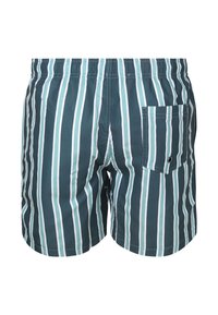 Heren zwemshorts van lichtgewicht stof, met verticale teal en witte strepen, een elastische tailleband en een patchzak op de achterkant.