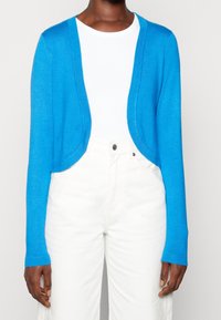 Kraftigt blå cardigan i lätt stickad material med öppen framside och långa ärmar, bärs över en vit skjorta och ljusa byxor.