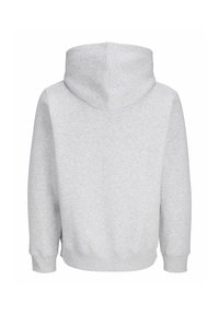 Hellgrauer Kapuzenpullover, der die Rückseite zeigt, mit langen Ärmeln und gerippten Bündchen sowie Saum, schlicht ohne sichtbares Design.