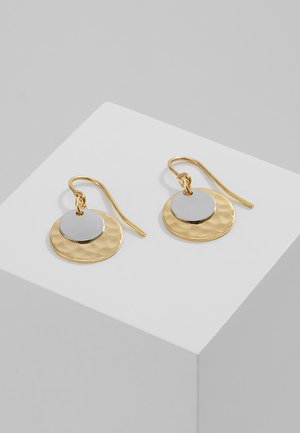 Earrings - multi