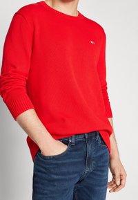 Rot gestrickter Pullover mit rundem Halsausschnitt, gerippten Bündchen und Saum. Kombiniert mit blauen Jeans. Kleines Logo-Detail auf der Brust.