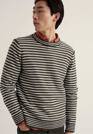 CORNWALL TRENALE  - Strickpullover - green - mesklenn woodland