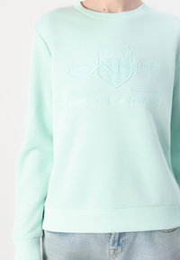 Gai piparmētru zaļš sporta krekls ar ribotām aprocēm un apakšmalu, ar reljefu izcelta logotipa detaļu līdzīgā tonī. Gluda auduma tekstūra.