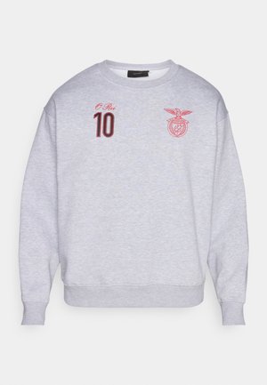 Gray sweatshirt featuring a round neckline, long sleeves, and embroidered details in red, including the number 10 and a logo. Soft fabric.