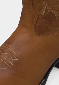 Nærbillede af en brun cowboystøvle i læder med dekorative hvide syninger og en tekstureret øvre del.