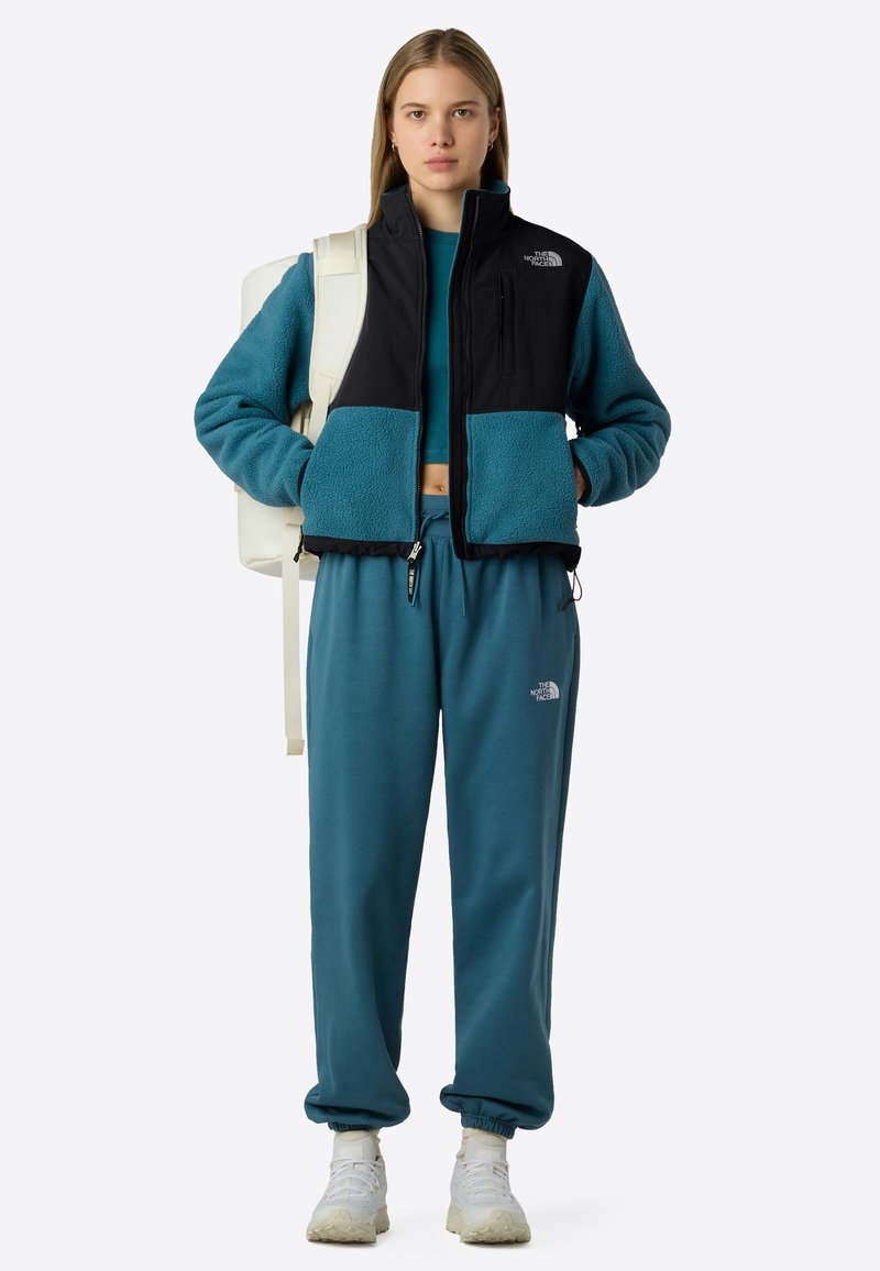 The North Face W RETRO DENALI JACKET - Fleecová bunda - space