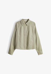 Selezionato, pale olive