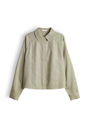 Licht olijfgroen overhemd met lange mouwen, knoopsluiting, puntkraag en zichtbare naaddetails aan de voorkant en mouwen.