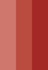 Kleur (2)