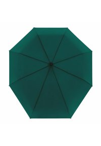 Unausgewählt, solid evergreen