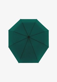 Unausgewählt, solid evergreen