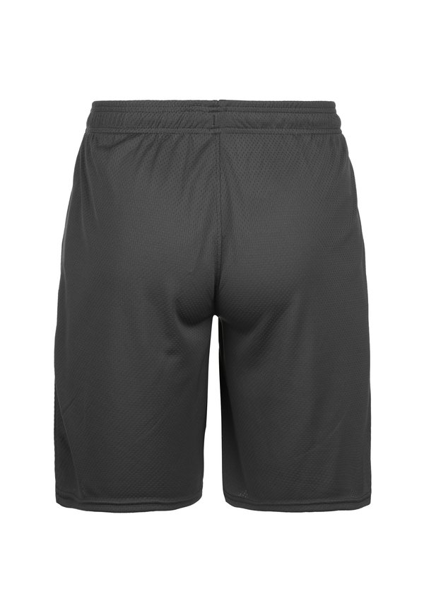 TECH MESH - Sports shorts - pitch gray3