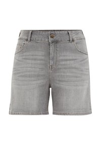 BLUE RIDGE CURVE - Farmer rövidnadrágok - light grey