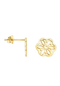 Guldblommiga örhängen med utskärningsdesign. Inkluderar en bakspik för säker bärning. Slät textur och glänsande finish.