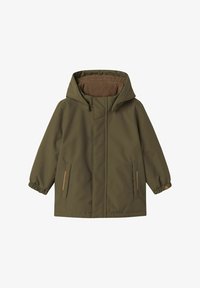 Nevybráno, sea turtle