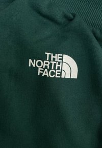 Tessuto verde scuro con trama a coste, caratterizzato da un grande logo bianco che riporta la scritta "THE NORTH FACE" e un design stilizzato di un mezzo domo.