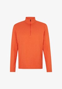 Selected, orange pumpkin