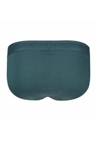 Dark green seamless fabric briefs with wide elastic waistband, shown from the back on a white background.