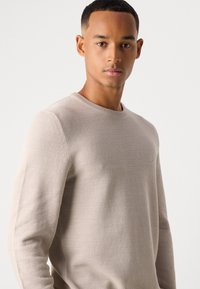 Pull en tricot beige avec un col rond, une surface texturée et des manches longues. Couture apparente aux épaules pour plus de détail.