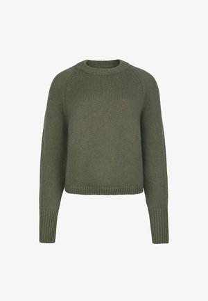 Olivegrüner gestrickter Pullover mit langen Ärmeln, gerippten Bündchen, Rundhalsausschnitt und geripptem Saum.
