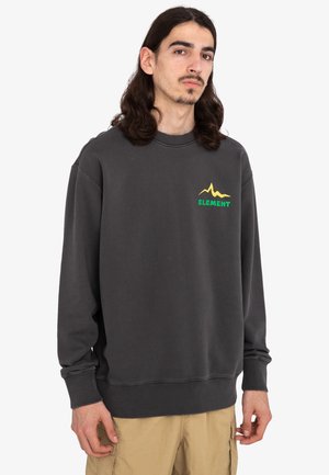 Dark gray sweatshirt featuring a crew neck, long sleeves, and a mountain graphic logo in yellow and green on the left chest area.