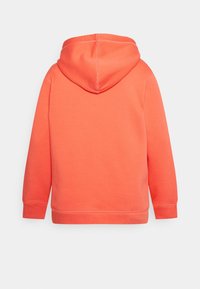 Tommy Hilfiger Curve Bluza z kapturem