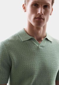 Zelená pletená polo košile s texturovaným vzorem, s krátkými rukávy, plochým límcem a designem do V.