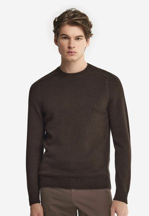 ULTRASOFT ROUND NECK - Strickpullover - Brown
