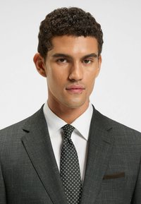 Giacca da costume grigia con texture, camicia bianca, cravatta nera con piccoli motivi bianchi. Capelli ordinatamente pettinati. Fazzoletto da taschino nella giacca.