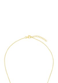 Guldhalsband med en delikat, tunn design. Innehåller en kräftkrok och en justerbar förlängningskedja för varierande längder.