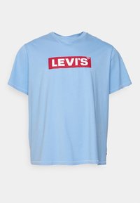 BIG SS - T-shirt estampada - della robia