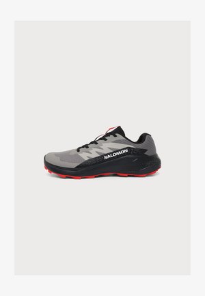 Salomon, ALPHAGLIDE, szary