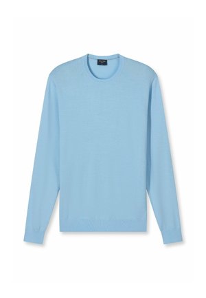 Light blue, long-sleeve sweater with a crew neck. Made from a fine knit material, features a simple design and a straight hem.
