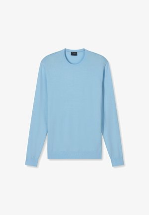 Light blue, long-sleeve sweater with a crew neck. Made from a fine knit material, features a simple design and a straight hem.