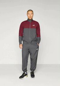 Puma COLORBLOCK TRACKSUIT SET - Survêtement - dusky gray