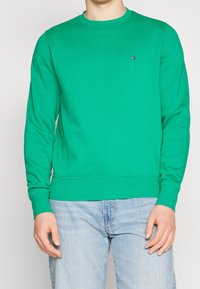 Felpa verde in cotone, con scollatura rotonda, maniche lunghe e un piccolo logo rosso, bianco e blu sul petto.