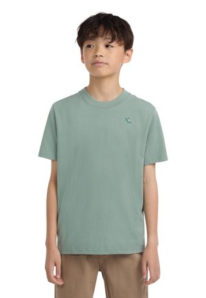 Abercrombie & Fitch SHORT SLEEVE ESSENTIAL TEE - Tricou basic - chinois green