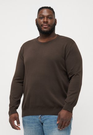 JJEBASIC CREW NECK - Jumper - delicioso