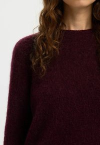 Donna con lunghi capelli ricci castani che indossa un morbido e peloso maglione borgogna scuro, tagliato a livello del collo e delle spalle.