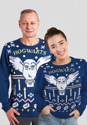 Blue knitted sweatshirts featuring an owl design, "HOGWARTS" text, and geometric patterns in white, pink, and yellow. Available in adult sizes.