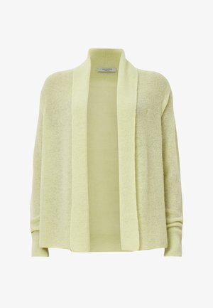 Lichtgroene cardigan, open voorkant, gebreide textuur, lange mouwen, zacht materiaal, relaxed fit, geen sluitingen, minimale stijlinformatie.