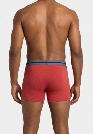 Vista trasera de un modelo masculino con bóxers rojos y cintura gris sobre un fondo blanco liso.