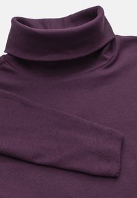 Purple ribbed turtleneck top with long sleeves, featuring a high collar. Soft texture with a fitted design.