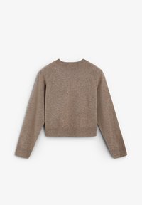 Bruine gebreide trui met een cropped ontwerp, lange raglanmouwen, ribbelboord aan de halslijn en onderrand, met delicate stiksel langs de manchetten.