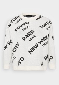 VMCNEWCITY O NECK - Striktrøje - birch/obsidian