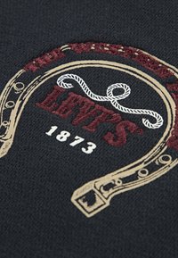 Levi's® Felpa con cappuccio - jet black