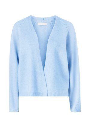 Lichtblauwe cardigan met een V-hals, lange mouwen en een open voorkant. Gemaakt van zacht gebreid materiaal met geribbelde zoom en een gestructureerde afwerking.