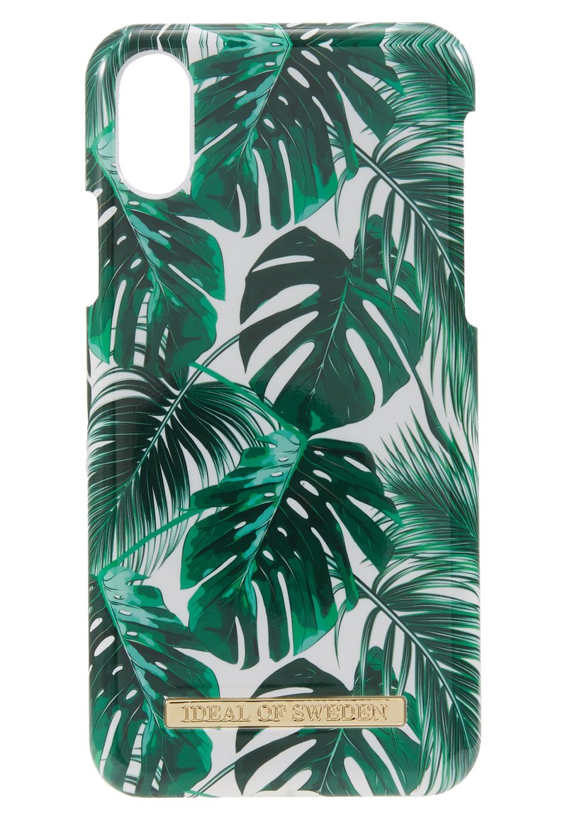 mini monstera philodendron The Snobby Leaf | Philodendron Mini Monstera Minima - 6 inch Pot