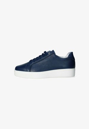 EXTON SNEAKER - Sneakers basse - blu